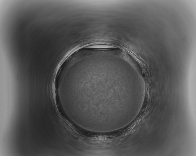 X0000097880244200803211340