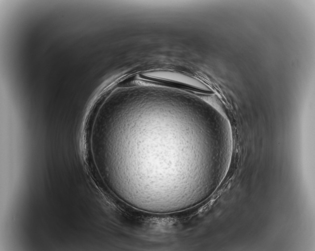 X0000097880245200803211340