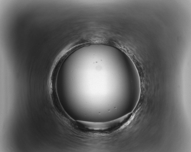 X0000097880246200803211340
