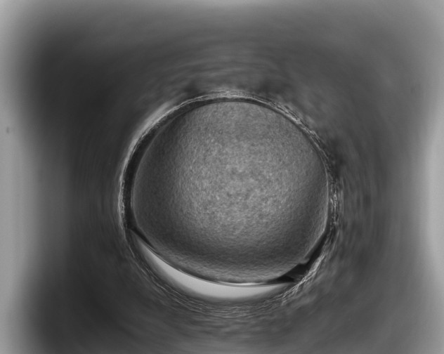 X0000097880248200803211340