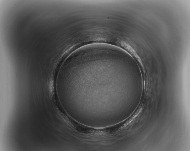 X0000097880249200803211340