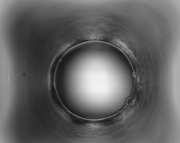 X0000097880250200803211340
