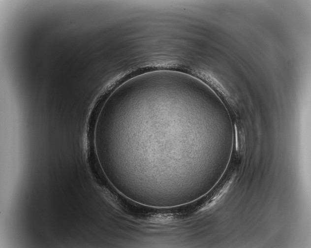 X0000097880252200803211340