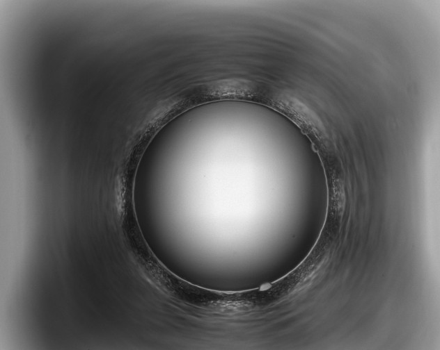X0000097880255200803211340