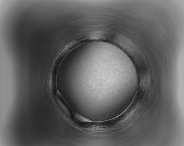 X0000097880256200803211340