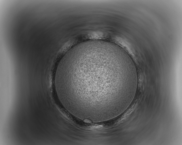 X0000097880257200803211340
