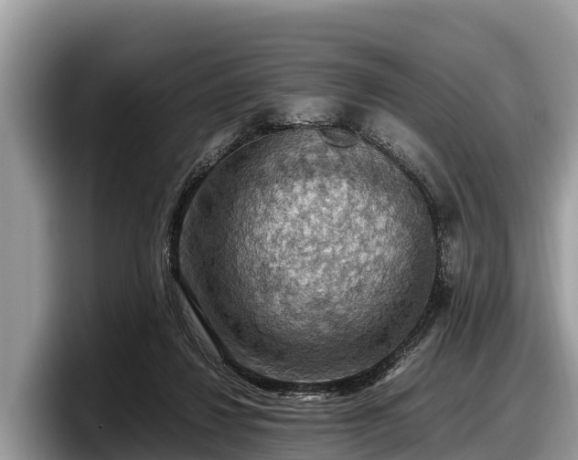 X0000097880260200803211340