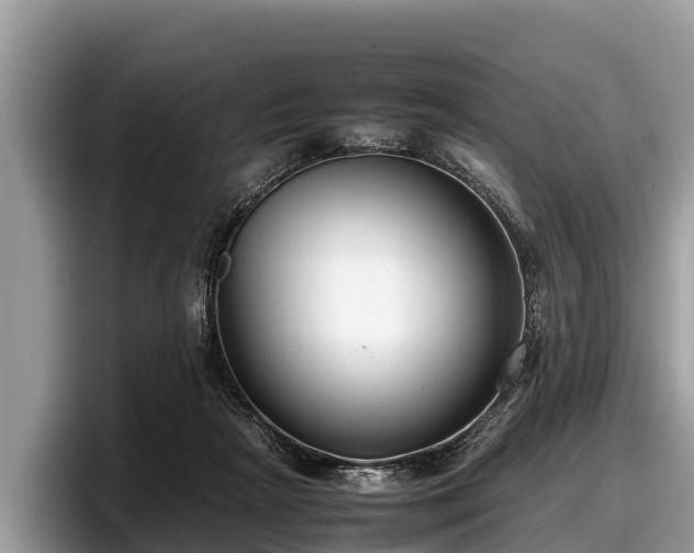 X0000097880265200803211340