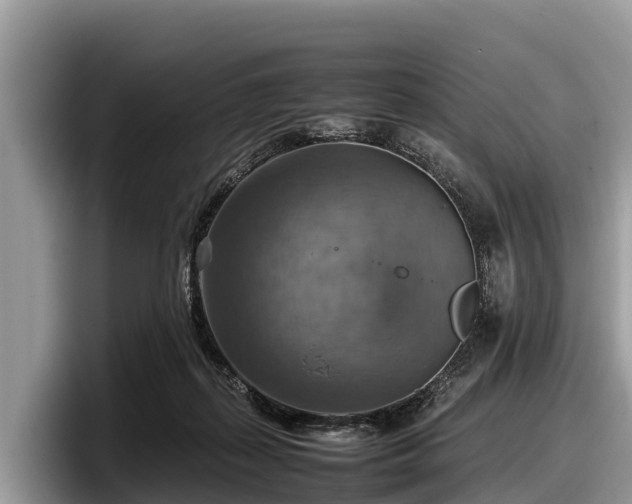 X0000097880267200803211340