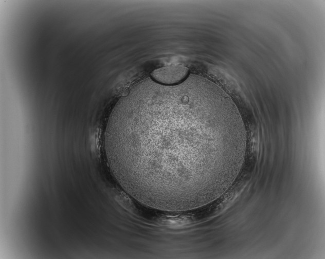 X0000097880275200803211340