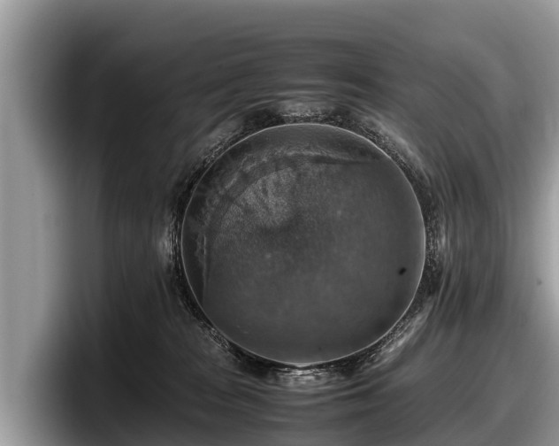 X0000097880277200803211340