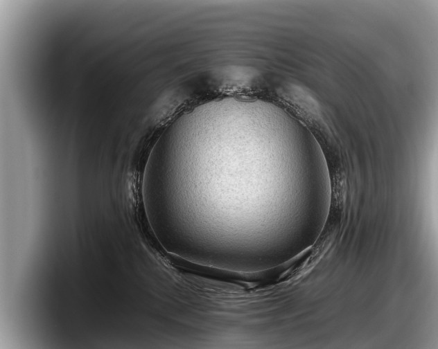 X0000097880280200803211340