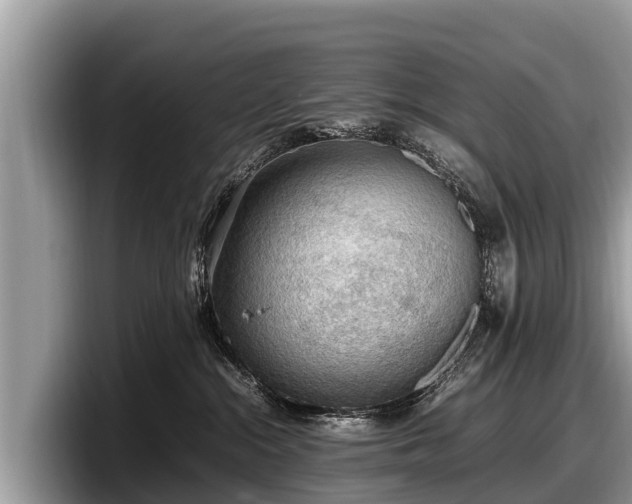 X0000097880284200803211340