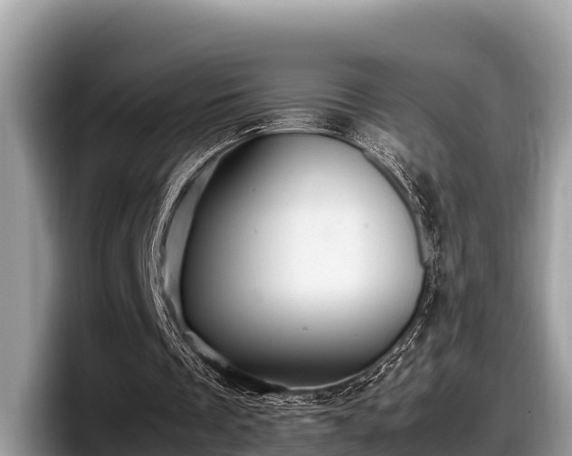 X0000097880289200803211340