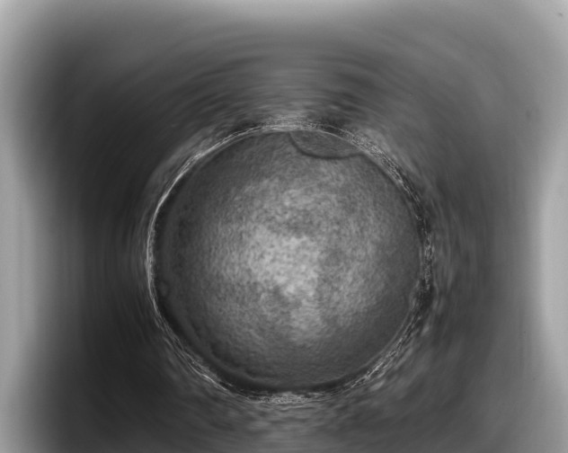 X0000097880290200803211340