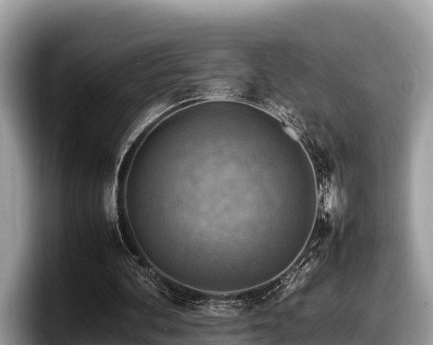 X0000097880292200803211340