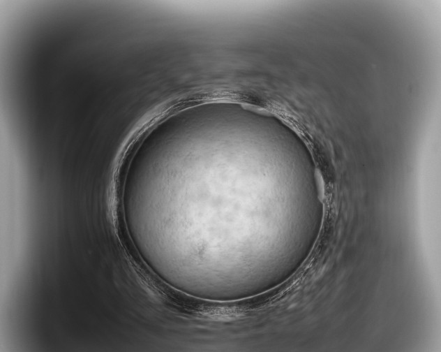 X0000097880293200803211340