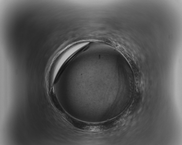 X0000097880295200803211340