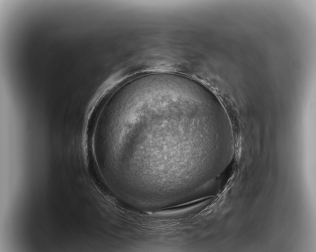 X0000097880296200803211340