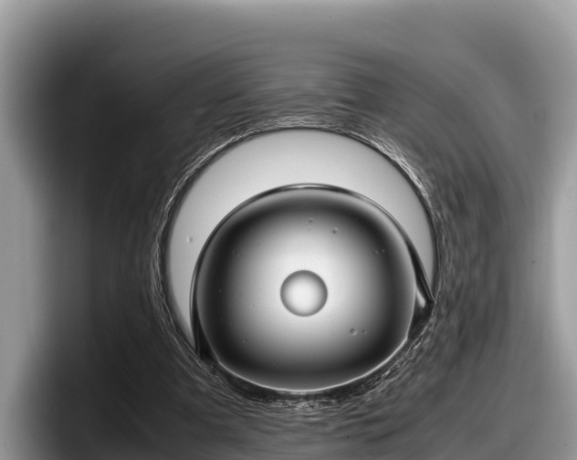 X0000097880297200803211340