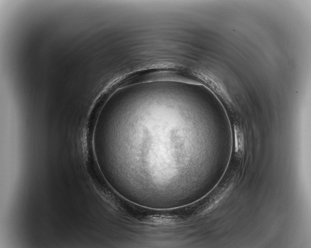 X0000097880300200803211339