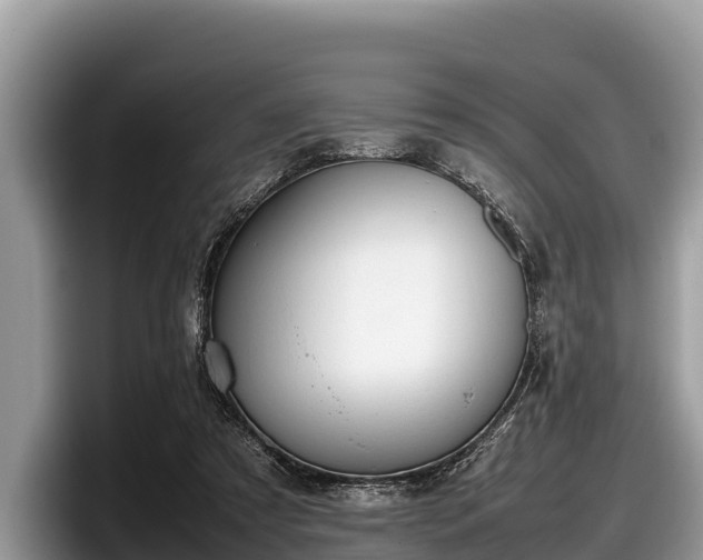 X0000097880305200803211339