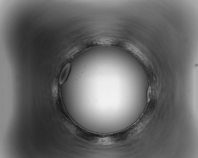 X0000097880309200803211339