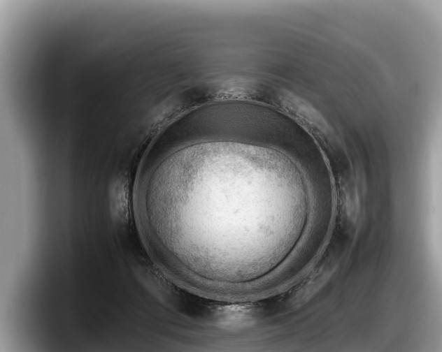 X0000097880312200803211339