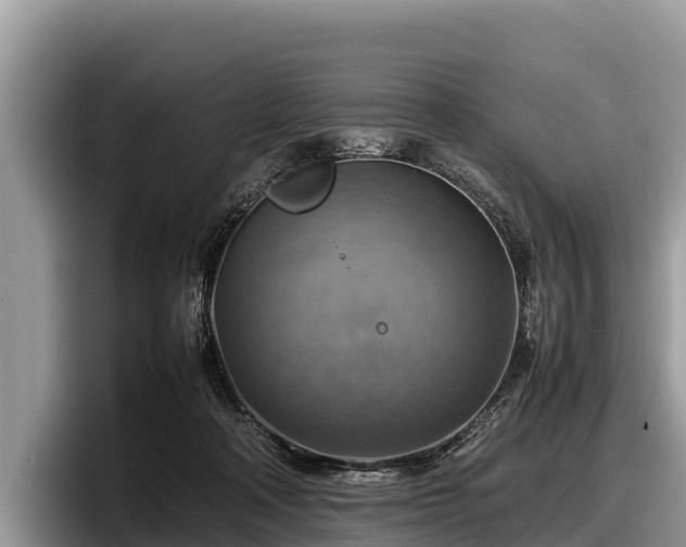X0000097880314200803211339