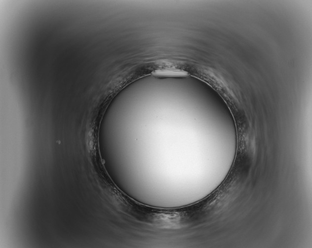 X0000097880317200803211339