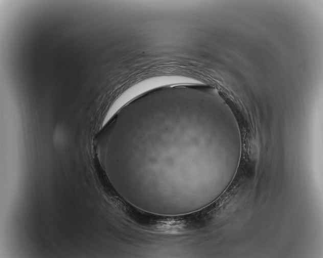 X0000097880319200803211339