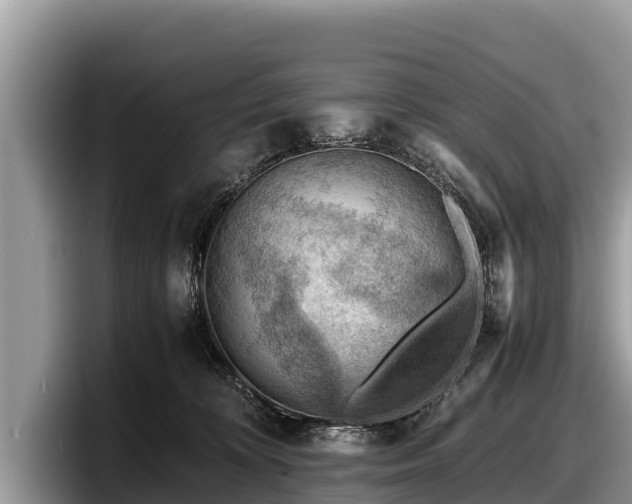 X0000097880324200803211339
