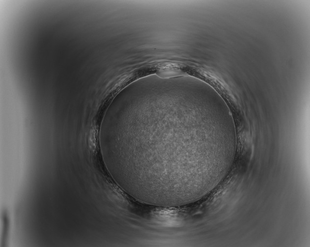 X0000097880325200803211339