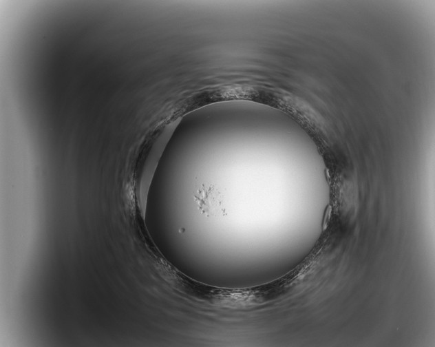 X0000097880329200803211339
