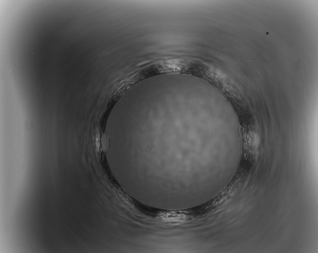 X0000097880331200803211339