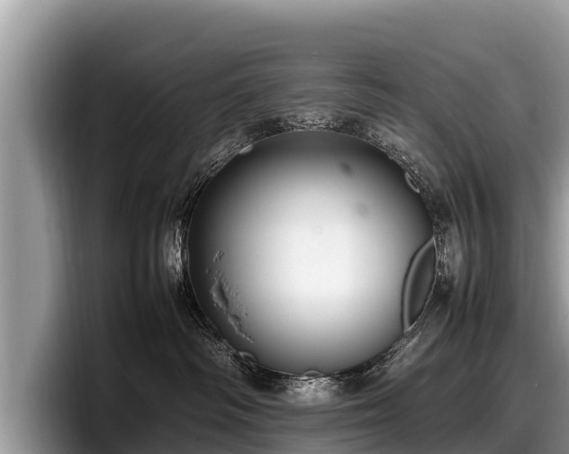 X0000097880334200803211339