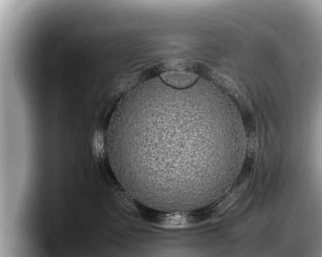 X0000097880335200803211339