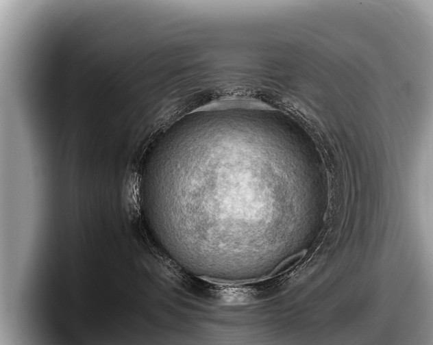 X0000097880336200803211339