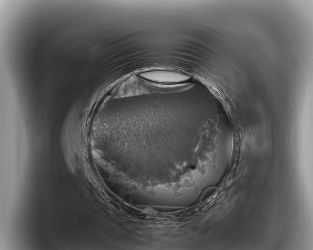X0000097880337200803211338