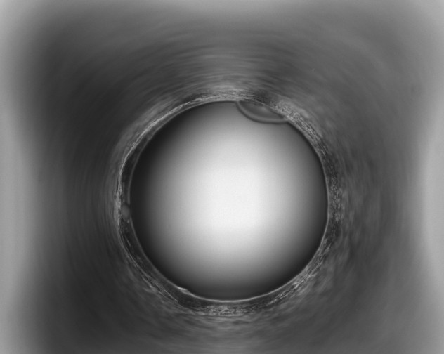 X0000097880338200803211338
