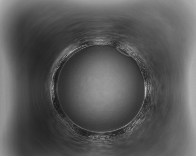 X0000097880339200803211338