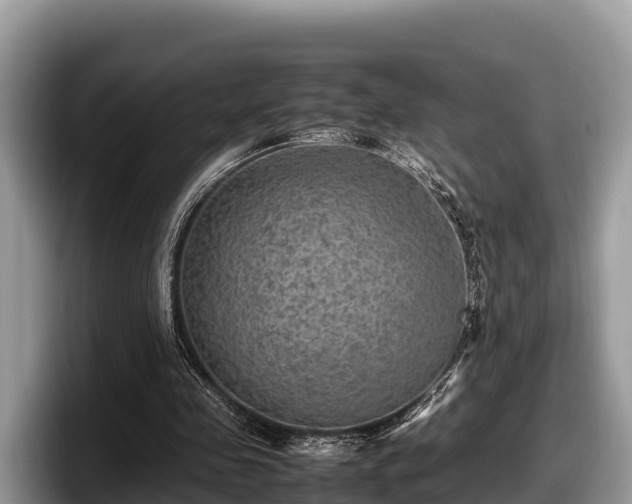 X0000097880341200803211338