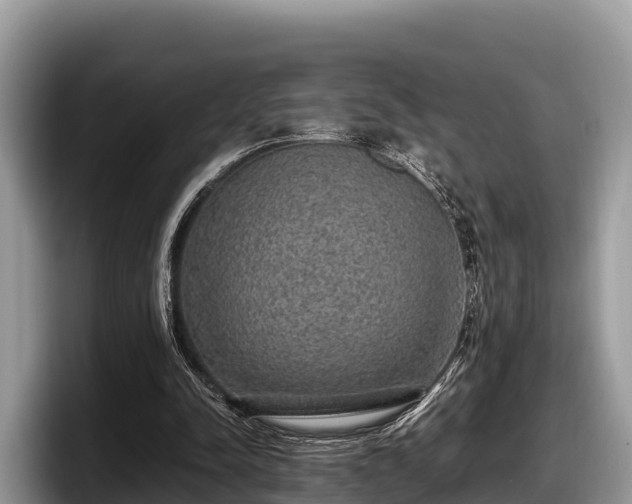 X0000097880342200803211338