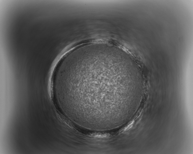 X0000097880343200803211338