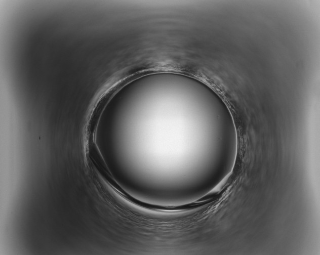 X0000097880344200803211338