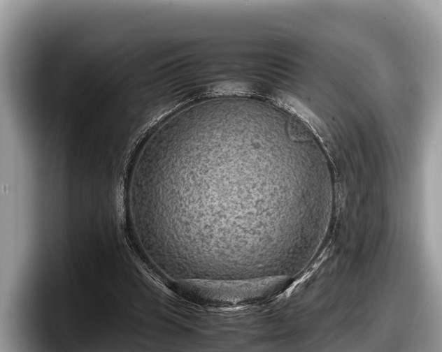 X0000097880345200803211338