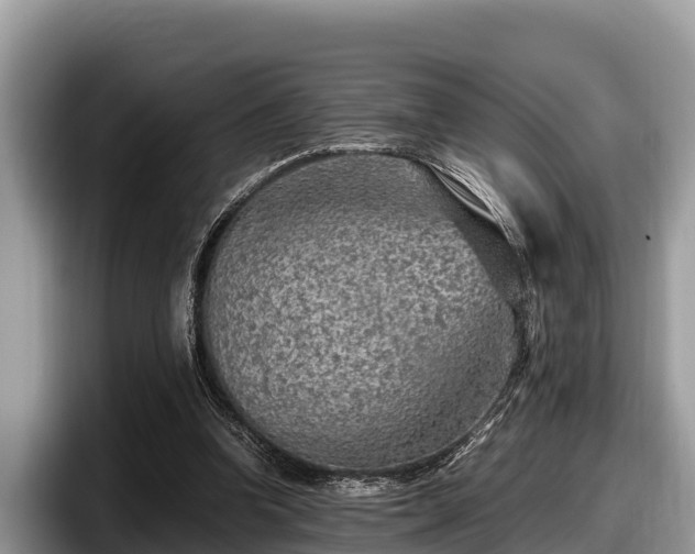 X0000097880346200803211338