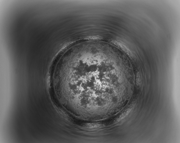 X0000097880351200803211339