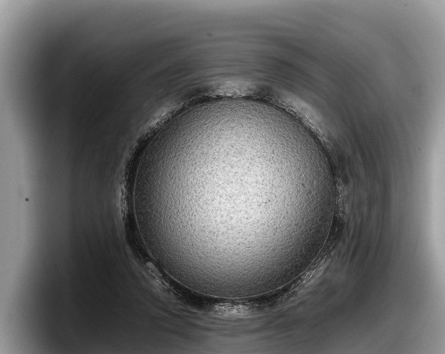 X0000097880354200803211339