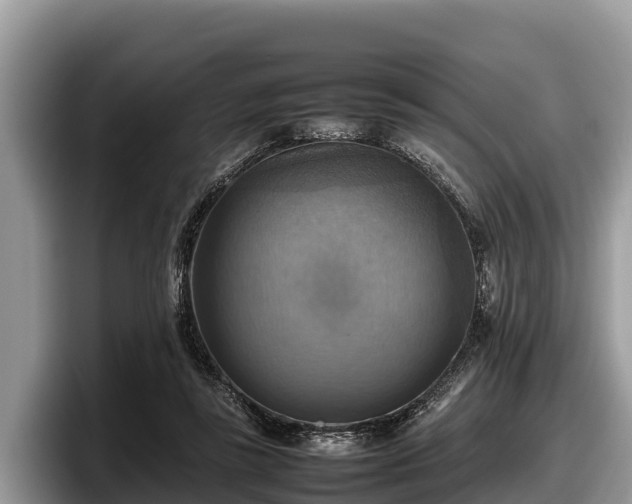 X0000097880355200803211339